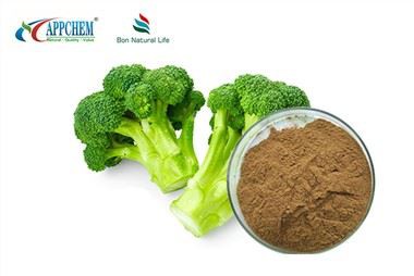 Broccoli Zaad Extract poeder