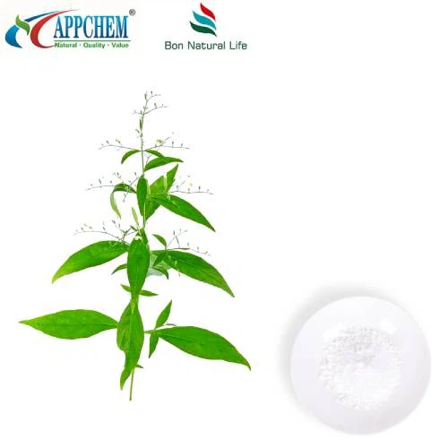 Andrographis Paniculata-extract Andrographolide