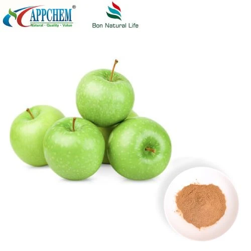 Appelextract Procyanidine B2 Poeder Op voorraad
