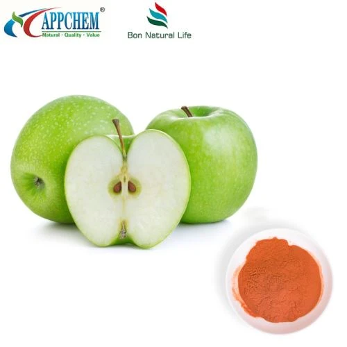 Appelpolyfenolenpoeder Original Factory