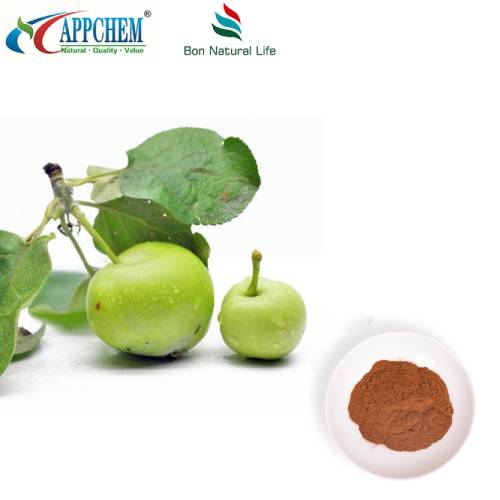 Appelpolyfenolenpoeder UV70% Gepatenteerd product