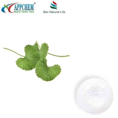 Centella Asiatica-extractpoeder