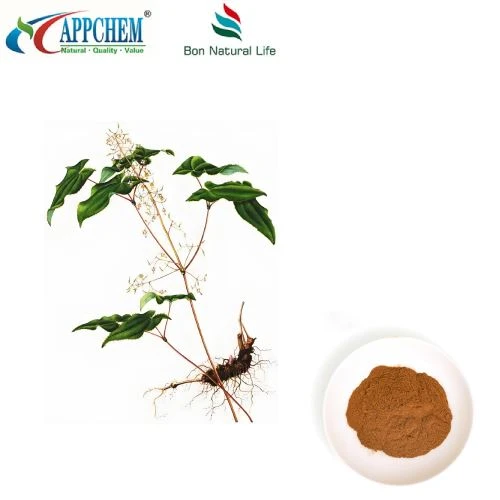 Epimedium-extractpoeder