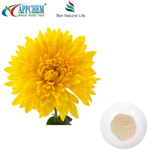 Flos Chrysanthemi-extract