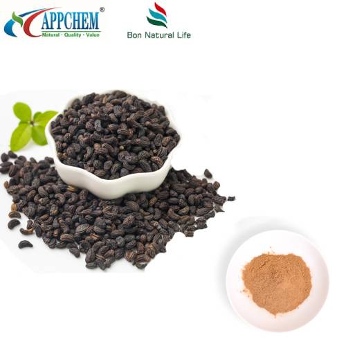 Fructus Ligustri Lucidi-extract