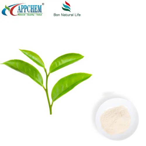 Groene thee-extract L-Theanine