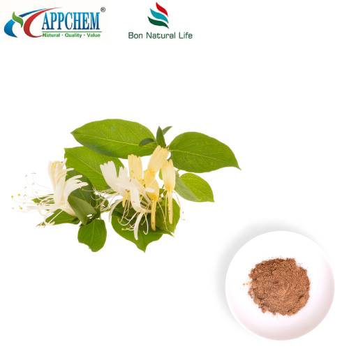 Kamperfoelie Bloem Extract Poeder