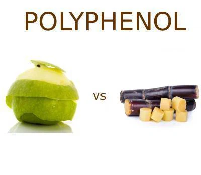 Appelpolyfenolen versus suikerrietpolyfenolen: welke zijn beter geschikt voor...
