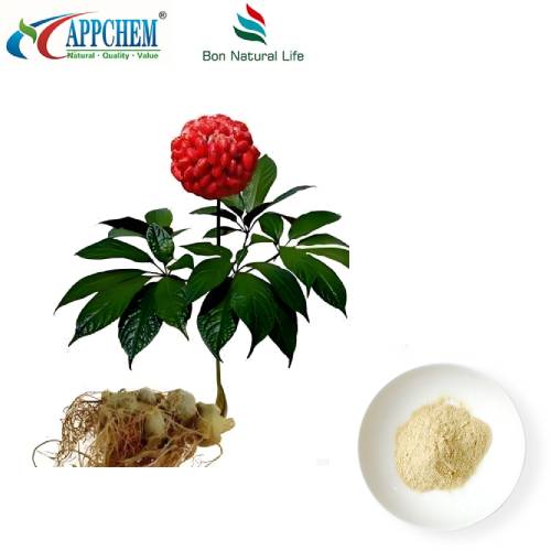 Notoginseng-wortelextract
