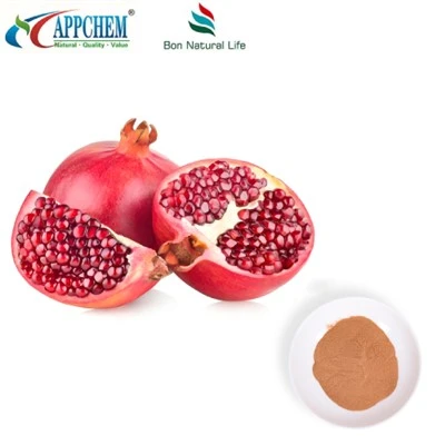 Granaatappel Extract Poeder