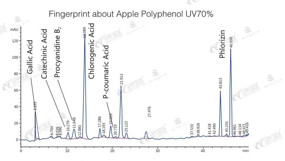 apple polyphenol fingerprint