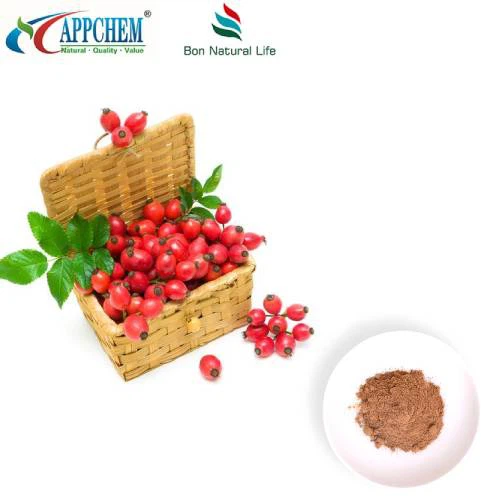 Rozenbottelextractpoeder