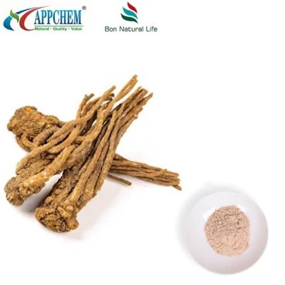 Angelica Sinensis-extractpoeder