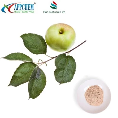 Bulklevering van appelextract floretine