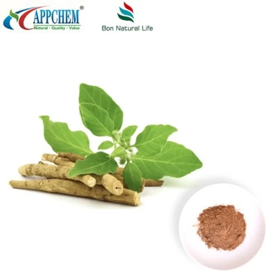 Ashwagandha Extract Powder (Withanolides) Fabricage 30655-48-2