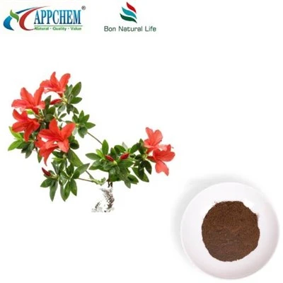 Dahurian Rhodoendronbladextract
