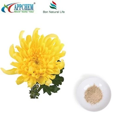 Flos Chrysanthemi-extractpoeder