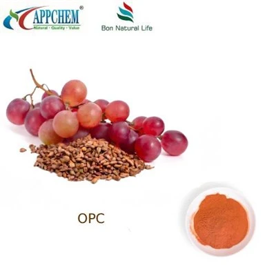 Druivenpitextract 95 OPC