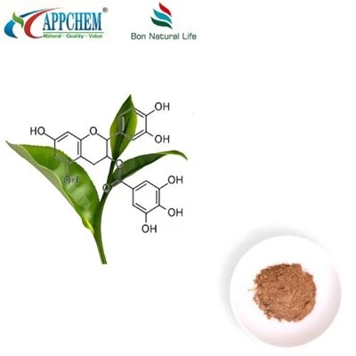 Groene thee-extract polyfenol