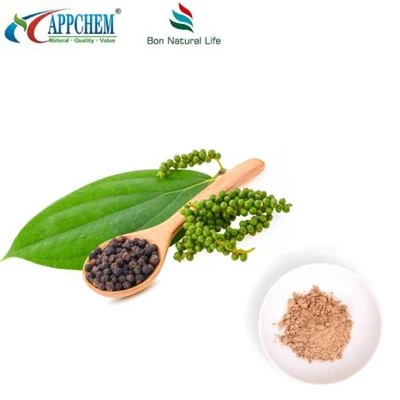Ligustrum Fruit Extract Poeder