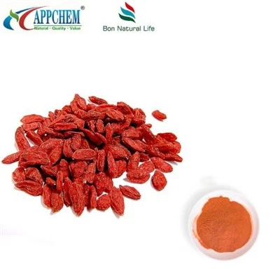 Lycium Barbarum-extract