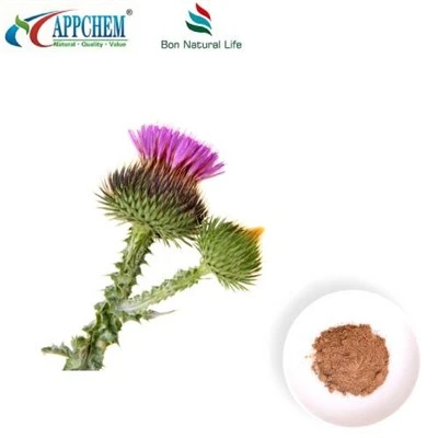 Mariadistel Zaad Extract