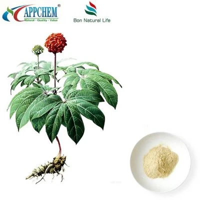 Notoginseng Radix en Rhizoma-extract