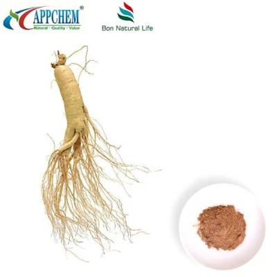 Panax Ginseng-extractpoeder