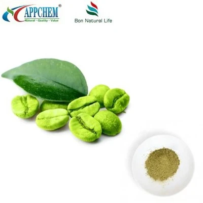Puur groene koffiebonenpoeder