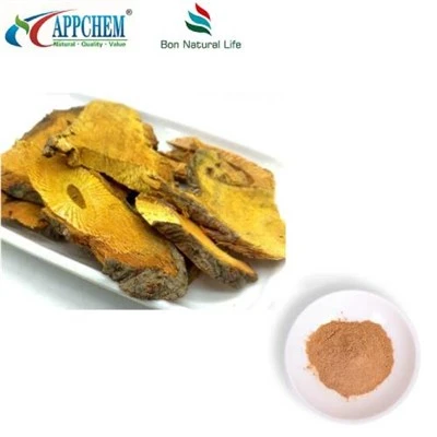 Resveratrol Polygonum Cuspidatum-extractpoeder