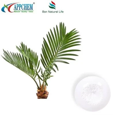 Saw Palmetto-extractpoeder