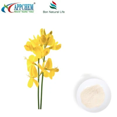 Thermopsis lanceolata R.BR -extract; Cytisine HPLC98% POEDER 485-35-8